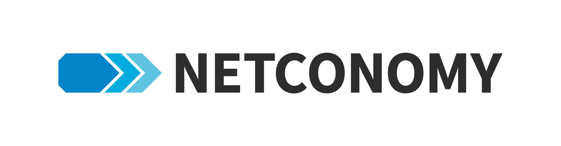 Netconomy Logo